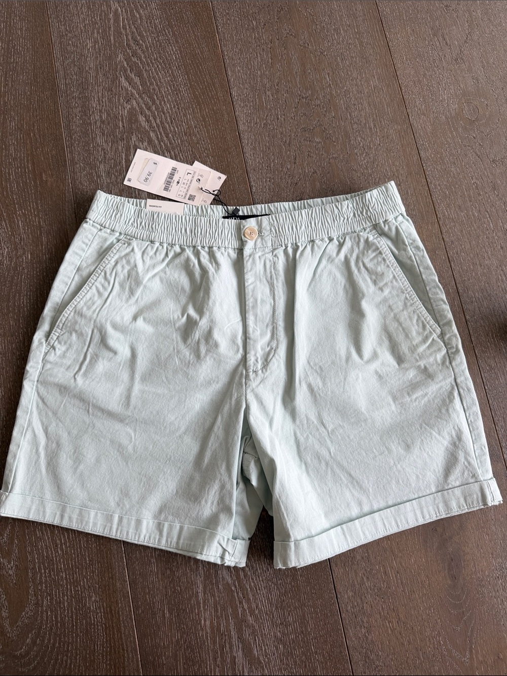 Zara Light Mint Men’s Casual Elastic-Waist Shorts